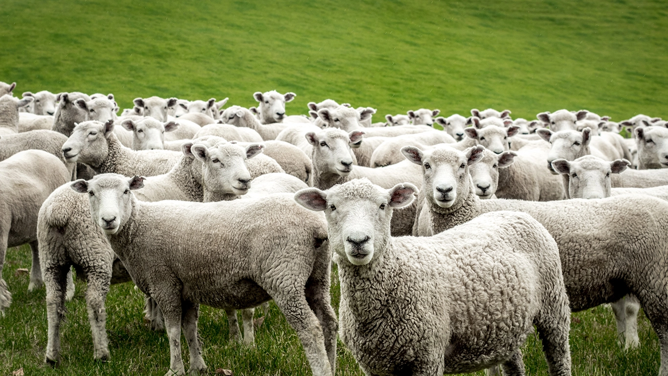 Jade Agri Finance Calculator BG